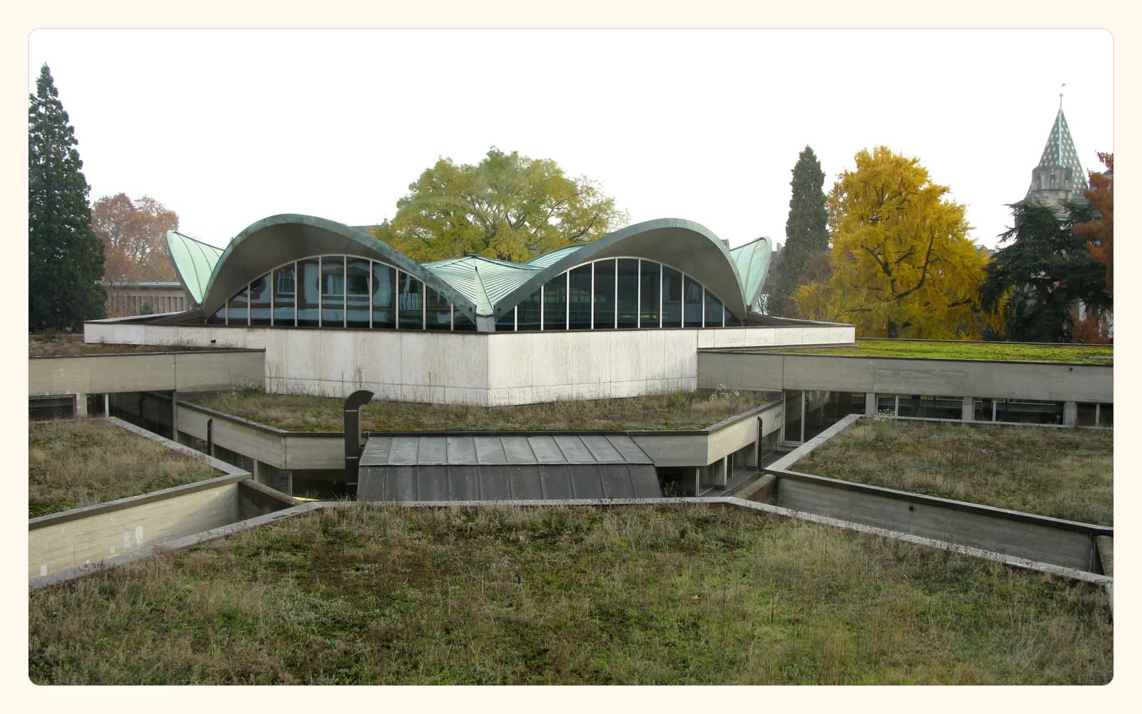 A low concrete and glass library building with two curved green roofs, autumn trees, and a church tower behind in Basel.